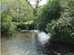 Burnells Gardens - Knowle - Exmoor