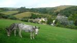 Hindon Organic Farm Cottage