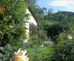 Hindon Organic Farm cottage on Exmoor
