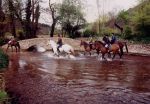 Knowle Riding Centre - Timberscombe