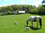 Riscombe Farm Holiday Cottages Riscombe Farm Holiday Cottages