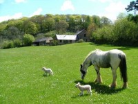 Image for Riscombe Farm Holiday Cottages